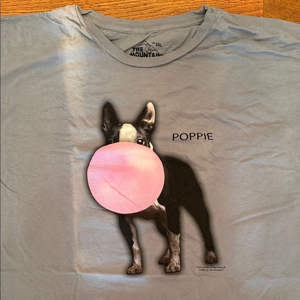 *NWT* The Mountain Blue Dog Tee with Pink Bubble